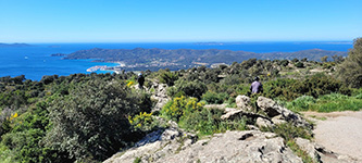 Collobrières